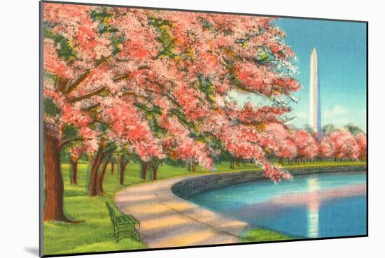 Washington Dc-Alan Paul-Mounted Art Print