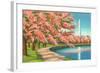 Washington Dc-Alan Paul-Framed Art Print