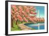 Washington Dc-Alan Paul-Framed Art Print