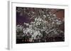 Washington, DC-Karine Aigner-Framed Photographic Print