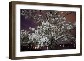 Washington, DC-Karine Aigner-Framed Photographic Print