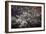 Washington, DC-Karine Aigner-Framed Photographic Print