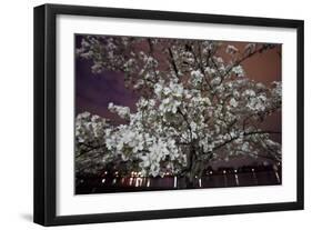 Washington, DC-Karine Aigner-Framed Photographic Print