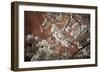 Washington, DC-Karine Aigner-Framed Photographic Print