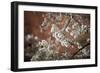 Washington, DC-Karine Aigner-Framed Photographic Print