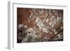 Washington, DC-Karine Aigner-Framed Photographic Print