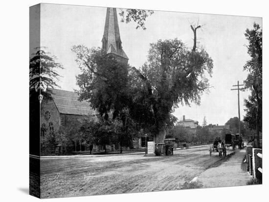 Washington Elm and Memorial Stone, Cambridge, Massachusetts, USA, 1893-John L Stoddard-Stretched Canvas