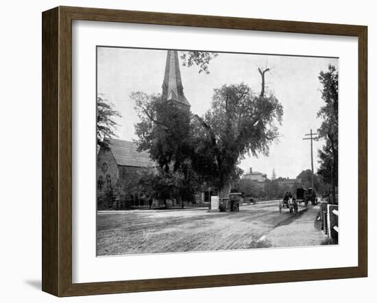 Washington Elm and Memorial Stone, Cambridge, Massachusetts, USA, 1893-John L Stoddard-Framed Giclee Print