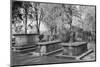 Washington Family Burial Ground-Philip Gendreau-Mounted Photographic Print