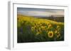 Washington, Field of Arrowleaf Balsamroot and Lupine Wildflowers at Columbia Hills State Park-Gary Luhm-Framed Photographic Print