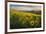 Washington, Field of Arrowleaf Balsamroot and Lupine Wildflowers at Columbia Hills State Park-Gary Luhm-Framed Photographic Print