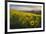 Washington, Field of Arrowleaf Balsamroot and Lupine Wildflowers at Columbia Hills State Park-Gary Luhm-Framed Photographic Print