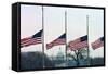 Washington Flags at Half-Staff-Vince Mannino-Framed Stretched Canvas