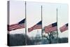 Washington Flags at Half-Staff-Vince Mannino-Stretched Canvas