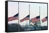 Washington Flags at Half-Staff-Vince Mannino-Framed Stretched Canvas