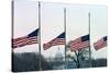 Washington Flags at Half-Staff-Vince Mannino-Stretched Canvas