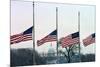 Washington Flags at Half-Staff-Vince Mannino-Mounted Photographic Print