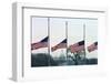 Washington Flags at Half-Staff-Vince Mannino-Framed Photographic Print