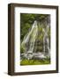 Washington, Gifford Pinchot NF. Spring Scenic of Panther Creek Falls-Don Paulson-Framed Photographic Print