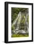 Washington, Gifford Pinchot NF. Spring Scenic of Panther Creek Falls-Don Paulson-Framed Photographic Print