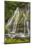 Washington, Gifford Pinchot NF. Spring Scenic of Panther Creek Falls-Don Paulson-Mounted Photographic Print