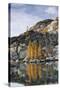 Washington, Golden Larch Reflected in Talisman Lake, Enchantment Lakes-Jamie & Judy Wild-Stretched Canvas