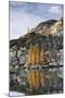 Washington, Golden Larch Reflected in Talisman Lake, Enchantment Lakes-Jamie & Judy Wild-Mounted Photographic Print