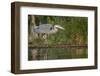 Washington, Great Blue Heron Stalks for Food on Union Bay, Lake Washington, Seattle-Gary Luhm-Framed Photographic Print