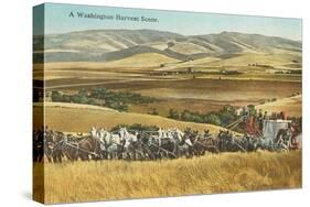 Washington Harvest Scene, Horse-Drawn Thresher-null-Stretched Canvas