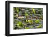 Washington, Juanita Bay Wetland, Mallard Fe Duck and Ducklings-Jamie And Judy Wild-Framed Photographic Print