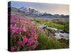 Washington, Lewis's Monkeyflower Along Panorama Trail and Paradise River, Mt. Rainier National Park-Gary Luhm-Stretched Canvas