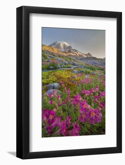 Washington, Lewis's Monkeyflower Along Panorama Trail and Paradise River, Mt. Rainier National Park-Gary Luhm-Framed Photographic Print