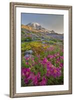 Washington, Lewis's Monkeyflower Along Panorama Trail and Paradise River, Mt. Rainier National Park-Gary Luhm-Framed Photographic Print