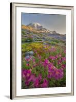 Washington, Lewis's Monkeyflower Along Panorama Trail and Paradise River, Mt. Rainier National Park-Gary Luhm-Framed Photographic Print