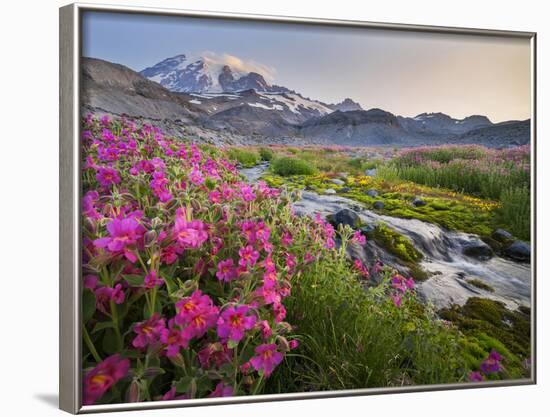 Washington, Lewis's Monkeyflower Along Panorama Trail and Paradise River, Mt. Rainier National Park-Gary Luhm-Framed Photographic Print