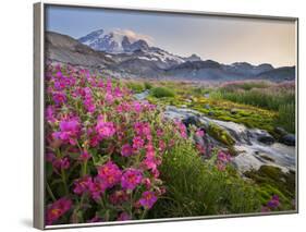 Washington, Lewis's Monkeyflower Along Panorama Trail and Paradise River, Mt. Rainier National Park-Gary Luhm-Framed Photographic Print