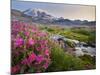 Washington, Lewis's Monkeyflower Along Panorama Trail and Paradise River, Mt. Rainier National Park-Gary Luhm-Mounted Photographic Print