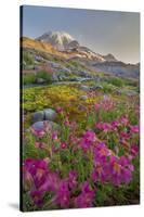 Washington, Lewis's Monkeyflower Along Panorama Trail and Paradise River, Mt. Rainier National Park-Gary Luhm-Stretched Canvas