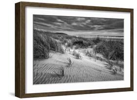 Washington, Long Beach. Dusk on the Beach Dunes-Ann Collins-Framed Photographic Print