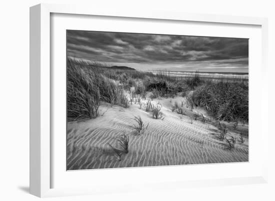 Washington, Long Beach. Dusk on the Beach Dunes-Ann Collins-Framed Photographic Print