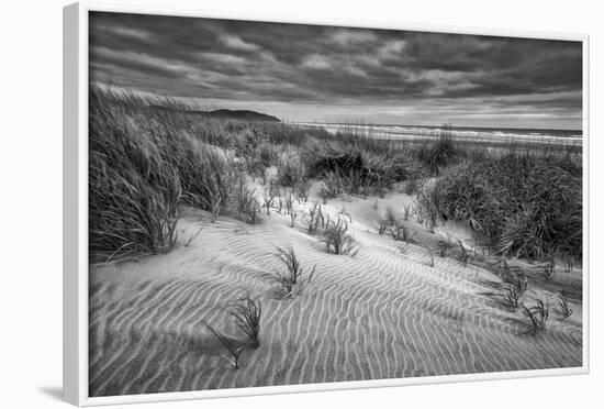 Washington, Long Beach. Dusk on the Beach Dunes-Ann Collins-Framed Photographic Print