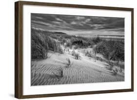 Washington, Long Beach. Dusk on the Beach Dunes-Ann Collins-Framed Photographic Print