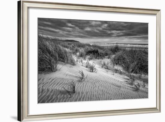 Washington, Long Beach. Dusk on the Beach Dunes-Ann Collins-Framed Photographic Print