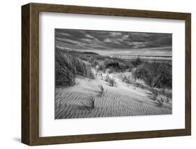 Washington, Long Beach. Dusk on the Beach Dunes-Ann Collins-Framed Photographic Print