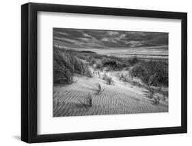 Washington, Long Beach. Dusk on the Beach Dunes-Ann Collins-Framed Photographic Print