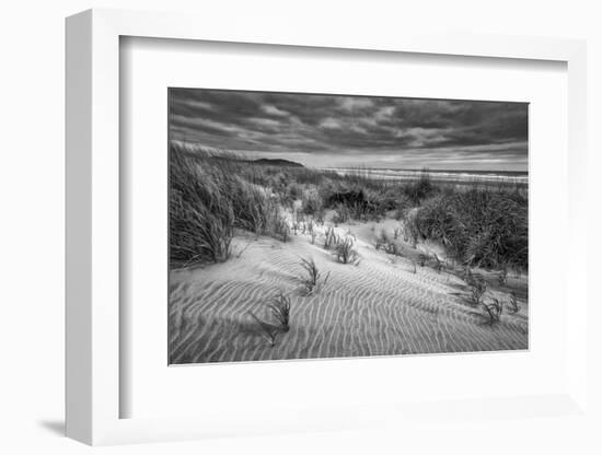 Washington, Long Beach. Dusk on the Beach Dunes-Ann Collins-Framed Photographic Print