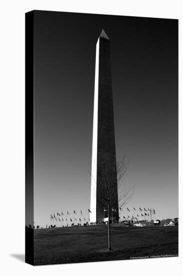 Washington Memorial Washington DC-null-Stretched Canvas