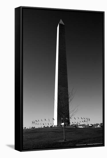 Washington Memorial Washington DC-null-Framed Stretched Canvas