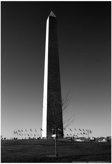 Poster, , large