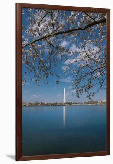 Washington Monument and Cherry Blossom-Belinda Shi-Framed Photographic Print